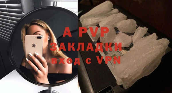 молекула духа Арсеньев
