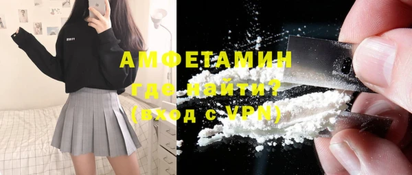 молекула духа Арсеньев
