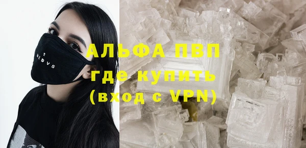 молекула духа Арсеньев