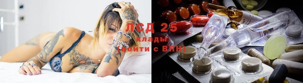 мескалин Аркадак