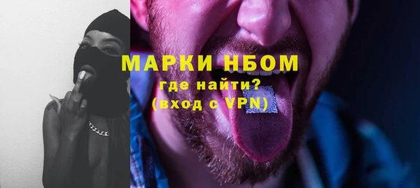молекула духа Арсеньев