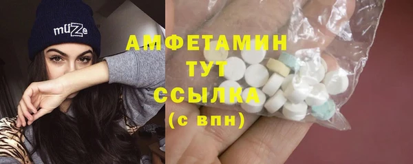 молекула духа Арсеньев