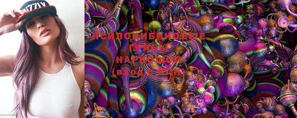 молекула духа Арсеньев