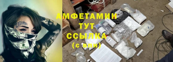 молекула духа Арсеньев