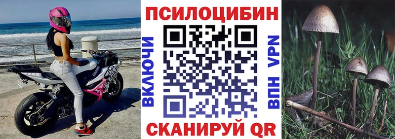 Галлюциногенные грибы мухоморы  blacksprut ТОР  Краснотурьинск 