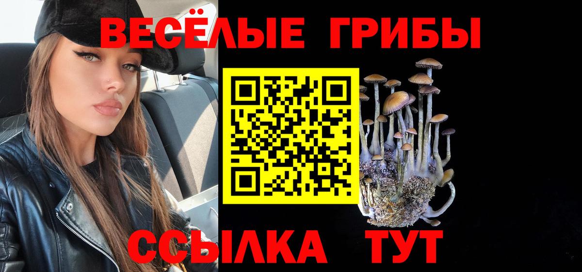 Краснотурьинск  Галлюциногенные грибы Psilocybine cubensis  купить  цена  Вход с VPN 